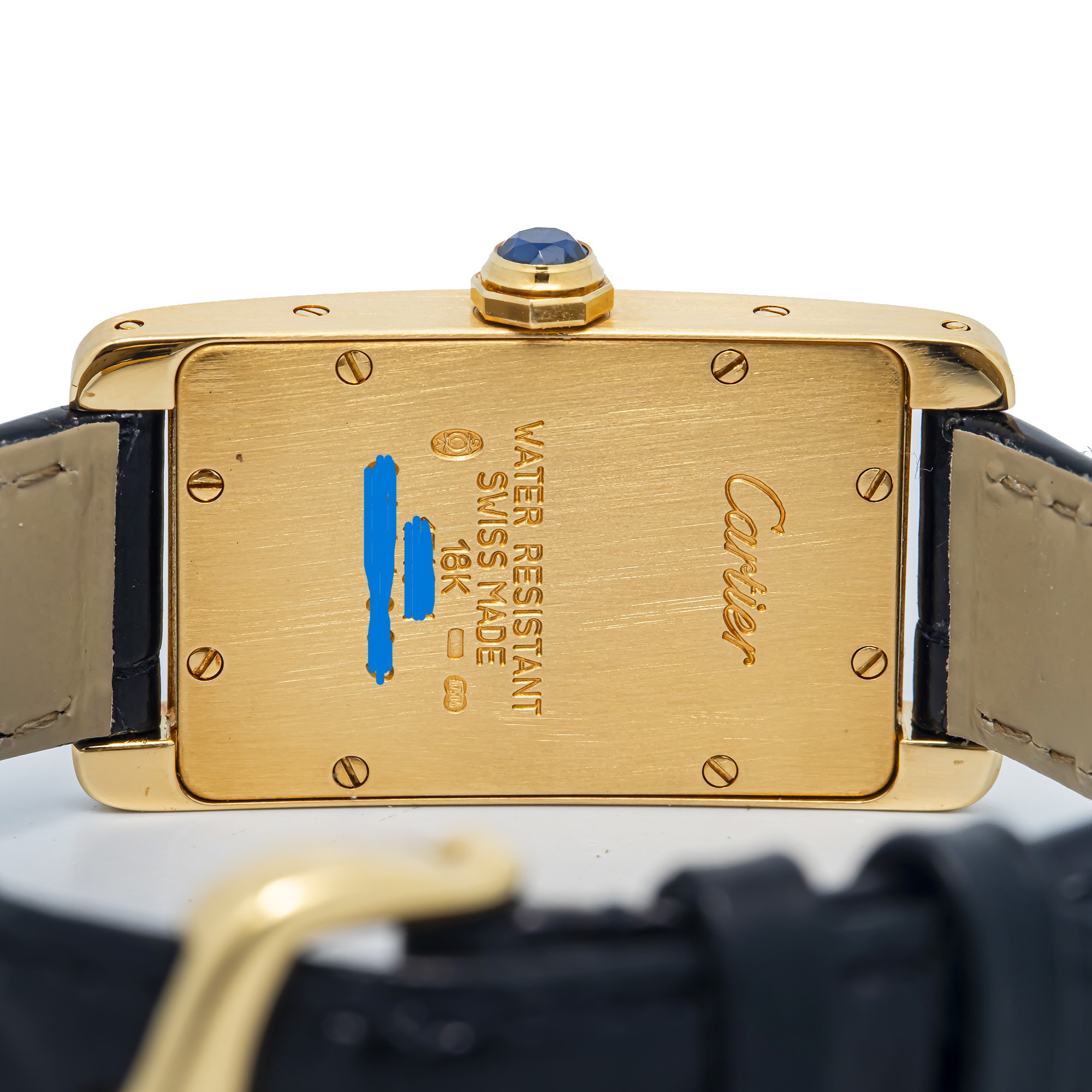 Back View